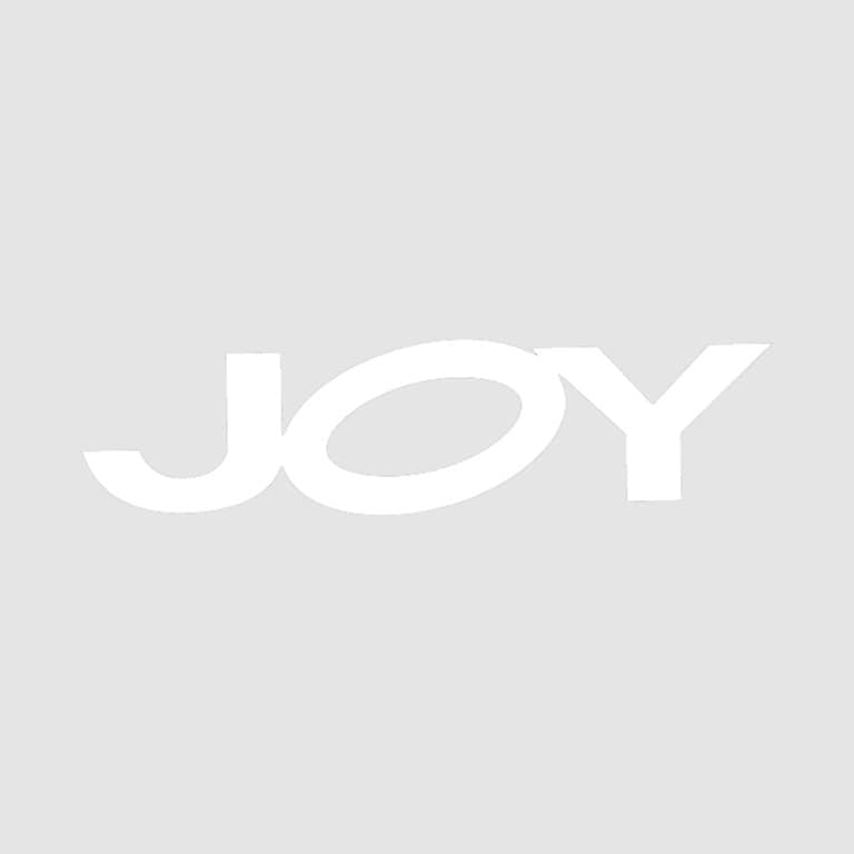 joy_logo